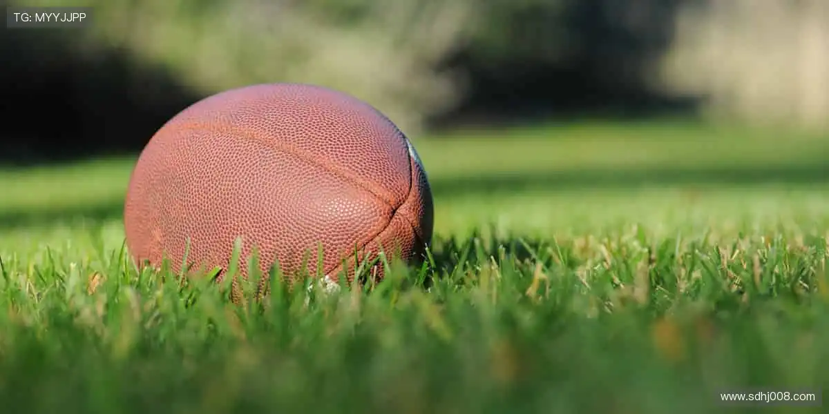 🎁 会员专属福利，购票折扣 + 周边盲盒双重惊喜！