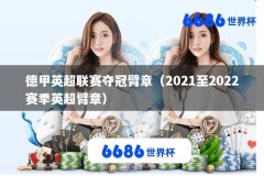 德甲英超联赛夺冠臂章（2021至2022赛季英超臂章）