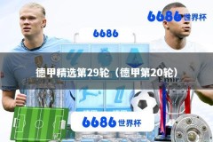 德甲精选第29轮（德甲第20轮）
