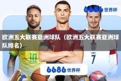 欧洲五大联赛亚洲球队（欧洲五大联赛亚洲球队排名）