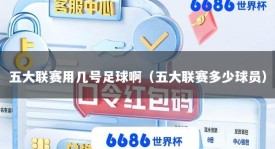 五大联赛用几号足球啊（五大联赛多少球员）