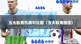 五大联赛伤病对比图（五大联赛强度）