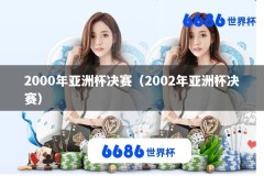 2000年亚洲杯决赛（2002年亚洲杯决赛）