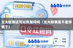 五大联赛还可以恢复吗吗（五大联赛是不是停赛了）