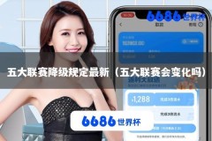 五大联赛降级规定最新（五大联赛会变化吗）