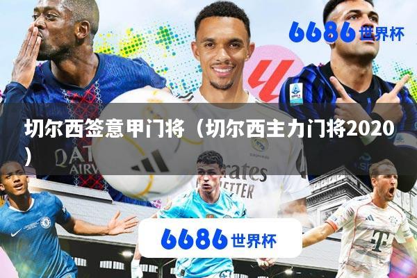 切尔西签意甲门将(切尔西主力门将2020)