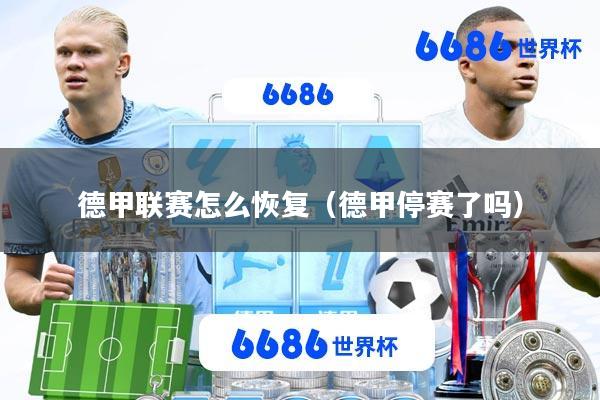 德甲联赛怎么恢复(德甲停赛了吗)